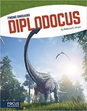 Finding Dinosaurs Diplodocus