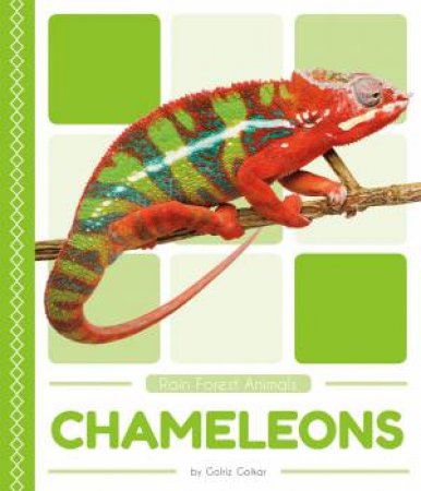 Rain Forest Animals: Chameleons by Golriz Golkar