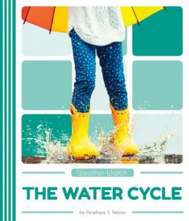 Weather Watch: The Water Cycle by Penelope S. Nelson