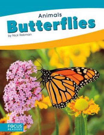 Animals: Butterflies by Nick Rebman