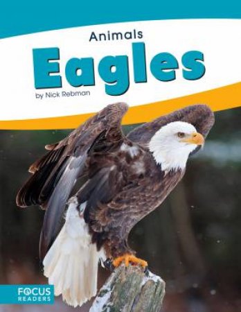 Animals: Eagles by Nick Rebman