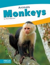 Animals Monkeys