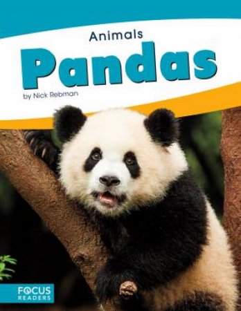 Animals: Pandas by Nick Rebman