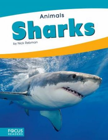 Animals: Sharks by Nick Rebman