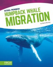 Natural Phenomena Humpback Whale Migration