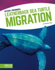 Natural Phenomena Leatherback Sea Turtle Migration