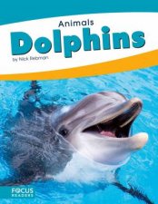 Animals Dolphins