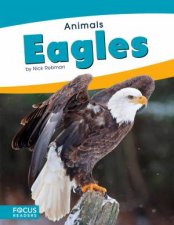 Animals Eagles