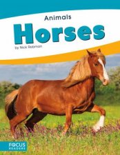 Animals Horses