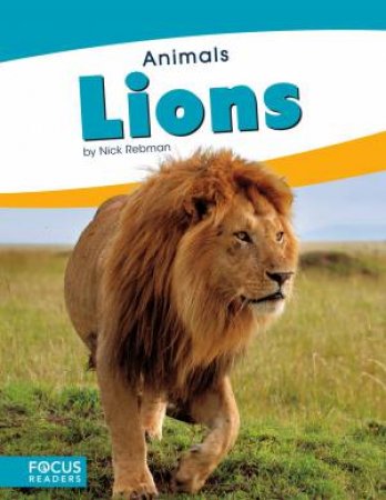 Animals: Lions by Nick Rebman
