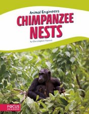 Animal Engineers Chimpanzee Nests