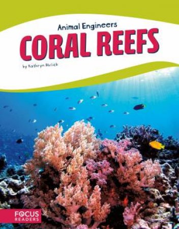 Animal Engineers: Coral Reefs by Kathryn Hulick