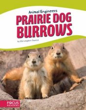 Animal Engineers Prairie Dog Burrows