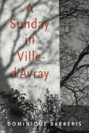 A Sunday In Ville-d'Avray by Dominique Barberis
