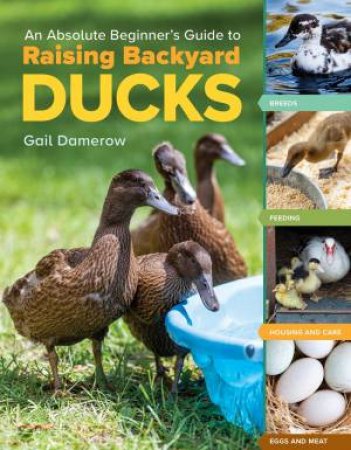 An Absolute Beginner's Guide to Raising Backyard Ducks: Breeds, Feeding, Housing and Care, Eggs and Meat by GAIL DAMEROW
