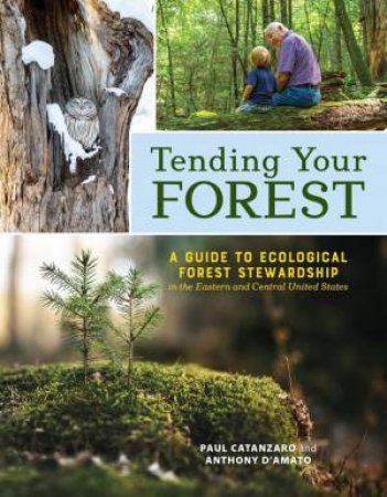Tending Your Forest by Paul Catanzaro & Anthony D'Amato
