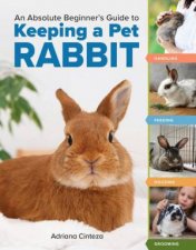 An Absolute Beginners Guide to Keeping a Pet Rabbit