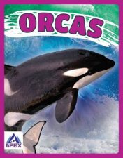 Giants of the Sea Orcas