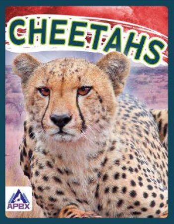Wild Cats: Cheetahs by Sophie Geister-Jones