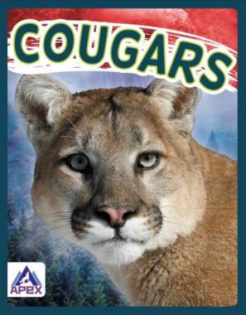 Wild Cats: Cougars by Sophie Geister-Jones