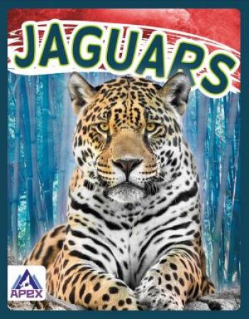 Wild Cats: Jaguars by Sophie Geister-Jones