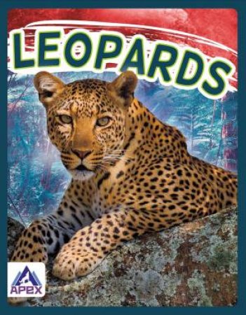 Wild Cats: Leopards by Sophie Geister-Jones