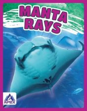 Giants of the Sea Manta Rays