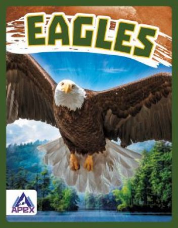 Birds Of Prey: Eagles by Golriz Golkar