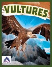 Birds Of Prey Vultures