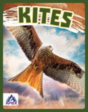Birds Of Prey Kites