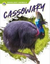 Deadliest Animals Cassowary
