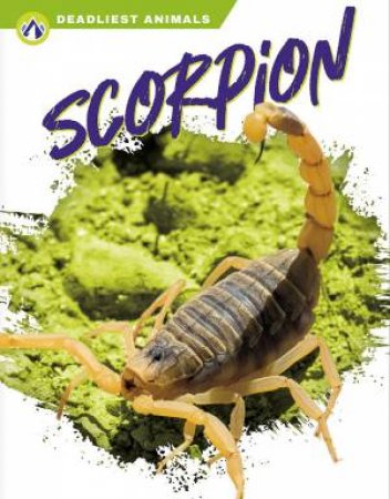 Deadliest Animals: Scorpion by Rachel Hamby