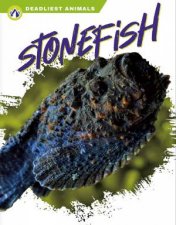Deadliest Animals Stonefish