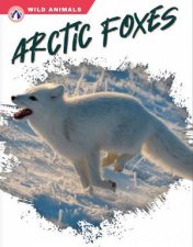 Wild Animals Arctic Foxes