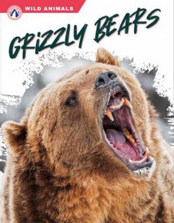 Wild Animals: Grizzly Bears by RACHEL HAMBY