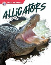 Wild Animals Alligators