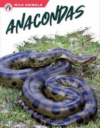 Wild Animals: Anacondas by JAMES BOW