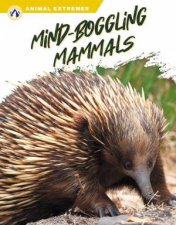 Animal Extremes MindBoggling Mammals