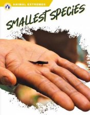 Animal Extremes Smallest Species