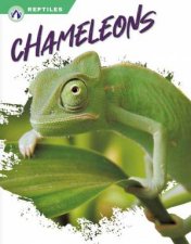 Reptiles Chameleons