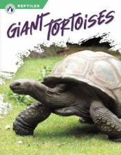 Reptiles Giant Tortoises