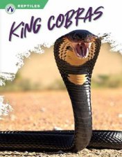 Reptiles King Cobras