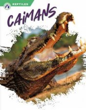 Reptiles Caimans