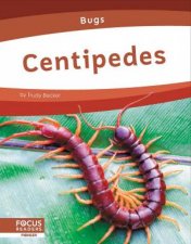Bugs Centipedes