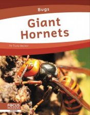 Bugs Giant Hornets