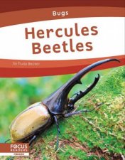 Bugs Hercules Beetles