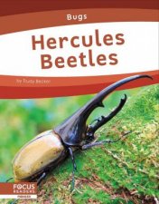 Bugs Hercules Beetles