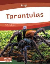 Bugs Tarantulas