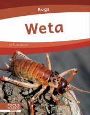 Bugs Weta