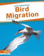 Animal Migrations Bird Migration